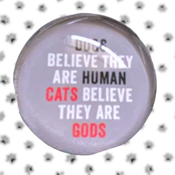 Fridge Domed Glass Magnet FRINGE 6 Piece Set CAT LOVE AND APPRECIATION - Picture 9 of 11